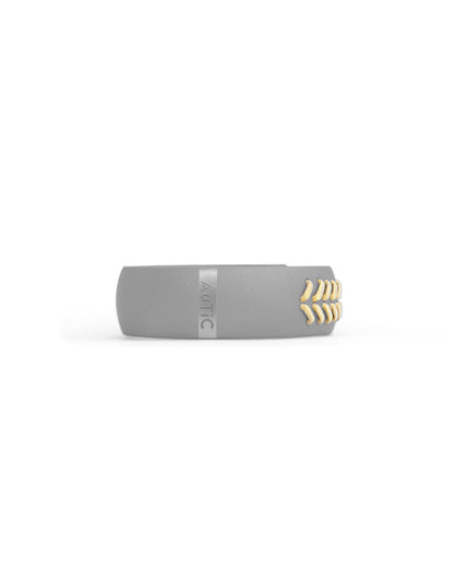 Arcane – Titanium Ring for Men