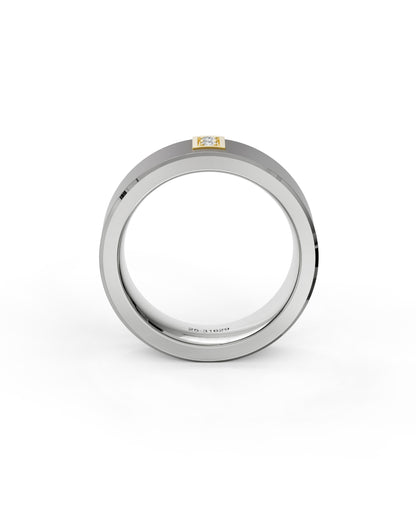 Eternity Concord - Men's Titanium Band